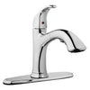 Pull Out Kitchen Faucet, Single Loop Handle, Chrome