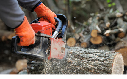 Contractor RentalsA close up of a tree getting cut by a chainsaw.