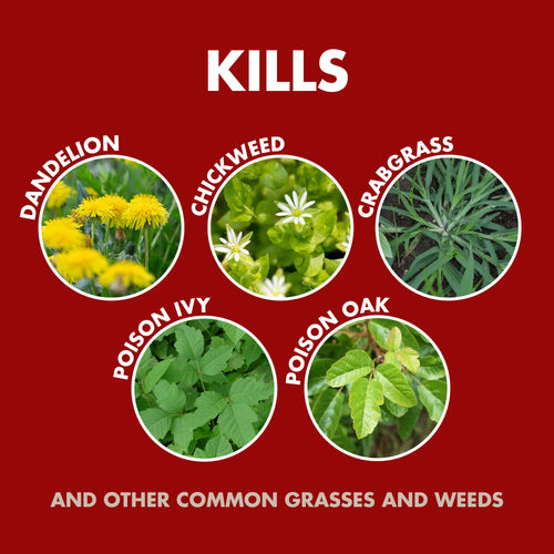 Spectracide® Weed & Grass Killer3 (AccuShot® Refill)