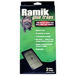 Neogen Ramik Rat Glue Board